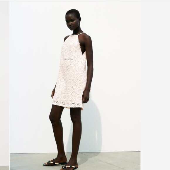 NEW Zara Cotton Crochet Lace Mini dress, Oyster Colour, Size M - Picture 5 of 16